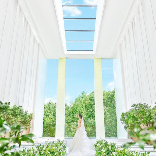 \嬉しいアルバム付/選べる衣装×フォトウエディング相談会♪