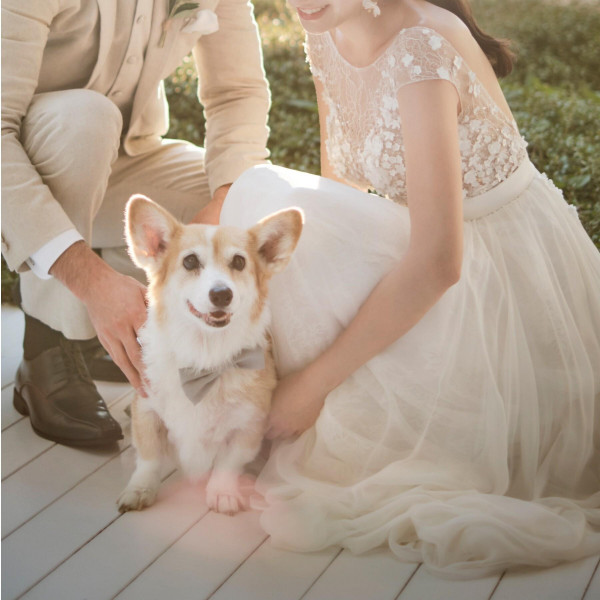 《プラン特典》●挙式料10万円OFF●スペース貸切料15万円OFF●会場装花50%OFF