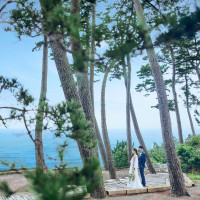 指帆亭 Shihantei Pine Tree Resort