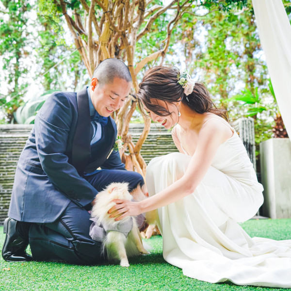 明治神宮前 原宿 駅のペットと一緒の結婚式ができる結婚式場 口コミ人気の8選 ウエディングパーク