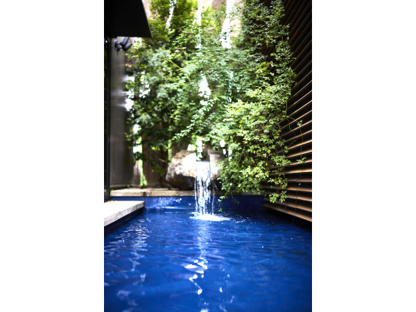 THE TENDER HOUSE（ザ テンダーハウス）