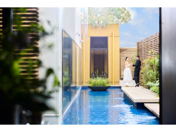 THE TENDER HOUSE（ザ テンダーハウス）