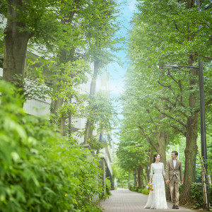 白金台駅徒歩3分の好立地◎緑溢れるプラチナ通り沿いに面しており都心の喧騒を忘れさせてくれる静かなエリア。|THE TENDER HOUSE(ザ テンダーハウス)の写真(54749301)