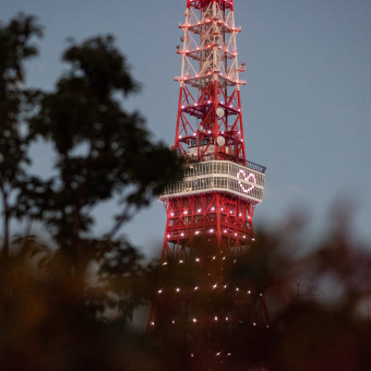 テラスから望める夕暮れの東京タワーライトアップ。季節に合わせたカラーが煌めきます。
