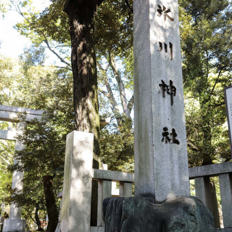 "縁"を結ぶ氷川神社でココロに残る神前式を。
