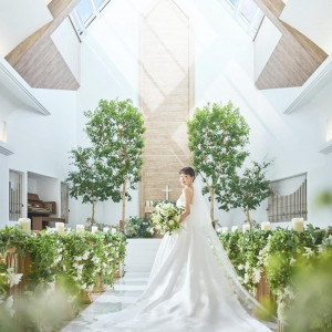 新春3days*150万優待【自然光チャペル＆肌診断】和牛コース試食