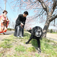 フラン ベル アムール