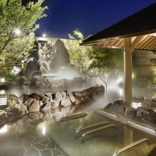 平日BIGフェア♪天然温泉×食事ご招待券付／料理試食+140万特典