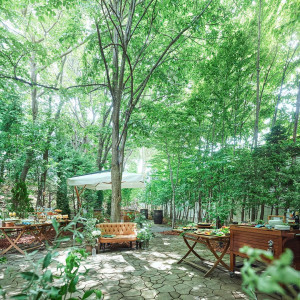 まばゆい光のプリズムが揺れる美しい緑のガーデン|the Terraceの写真(56312703)