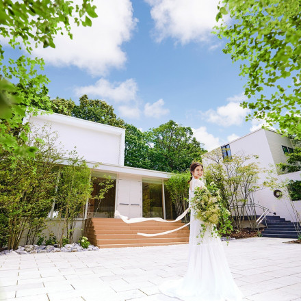 the Terrace