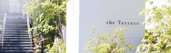the Terrace