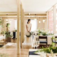 the Terrace