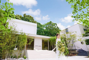 the Terrace