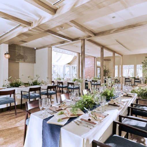 the Terrace