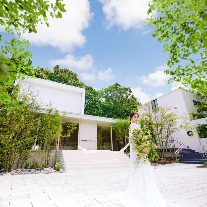 the Terrace