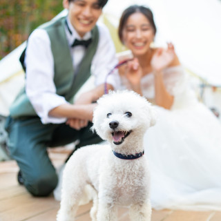 【ペットウェディング】大切な家族も一緒に♪貸切会場で叶えるW