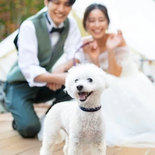 【ペットウェディング】大切な家族も一緒に♪貸切会場で叶えるW