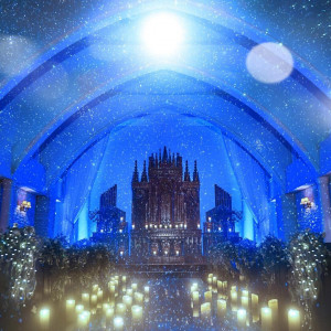 祝日SP｜来館ギフト3万×星空チャペル×和牛試食×150万優待