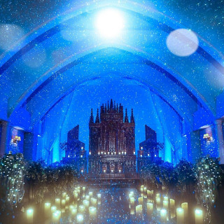 ロマンティックな光の演出は花嫁の美しさを最大限に際立たせてくれる