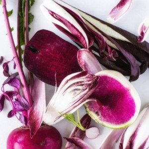 妥協のない食材選びから始まる|松山モノリスの写真(54504090)