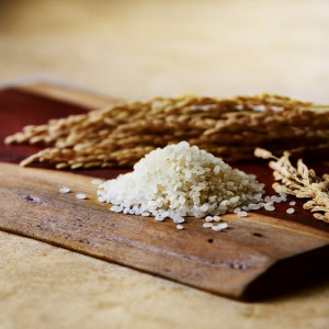 その年の、季節、場所で最良の食材を追求する|松山モノリスの写真(54504095)