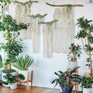 特別な日におふたりらしい装飾を|松山モノリスの写真(54504398)