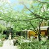 パラッツォ ドゥカーレ 麻布 （Palazzo Ducale AZABU）