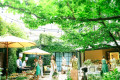 パラッツォ ドゥカーレ 麻布 （Palazzo Ducale AZABU）