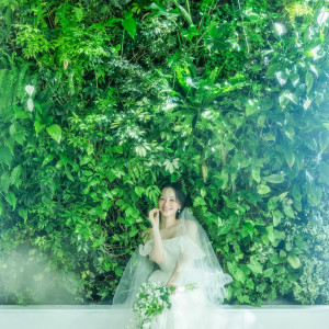 優しい光に包まれたナチュラルな空間|パラッツォ ドゥカーレ 麻布 （Palazzo Ducale AZABU）の写真(55891954)