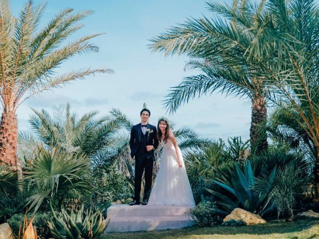 2024年SpringRenewal open!