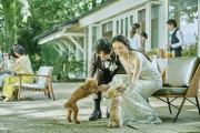 Maison de Forest（メゾン・ド・フォレスト）