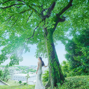 緑を背景に真っ白いドレスが映える。フォトジェニックな美しいドレス姿をたくさん残そう|Maison de Forest（メゾン・ド・フォレスト）の写真(41992457)