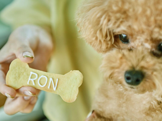 ★全ての会場でペットOK★