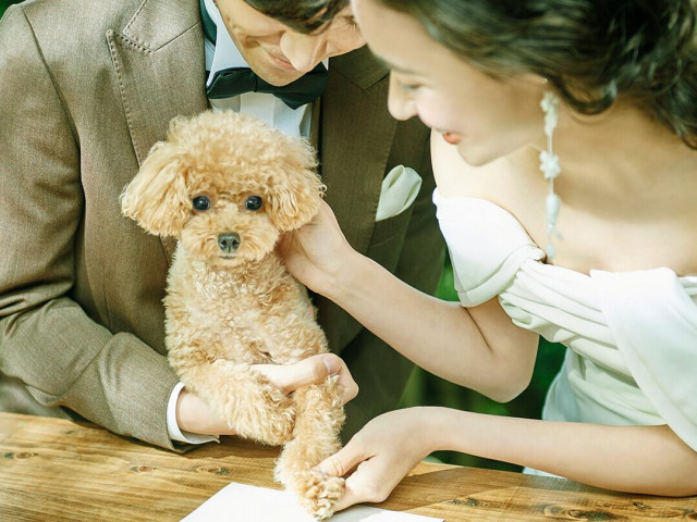 高台に建つ森の邸宅を1組で貸切!だからこそできる様々なスタイルに対応★