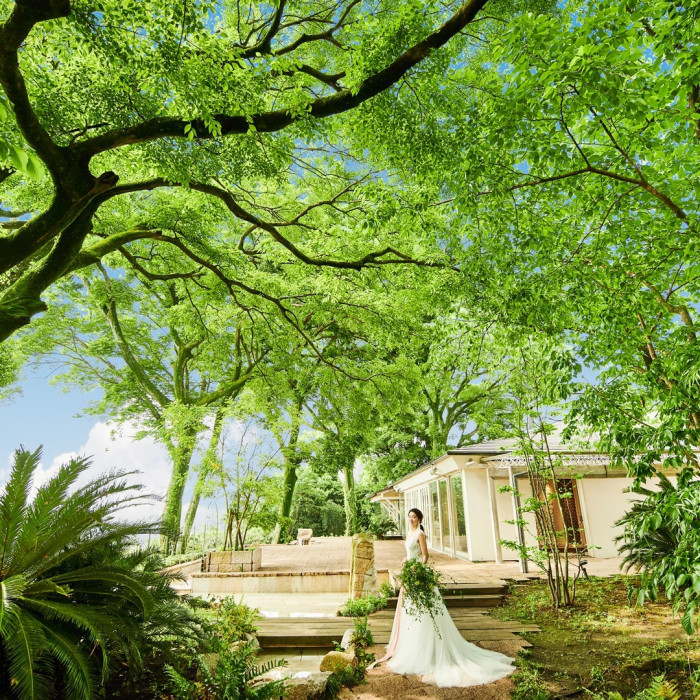 Maison de Forest(メゾン・ド・フォレスト)