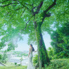 Maison de Forest（メゾン・ド・フォレスト）