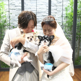 \ご家族の一員わんちゃんと★/館内の貸切空間をご提案!ペット婚相談会♪
