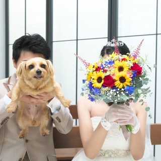 ＼わんちゃんと過ごす1日／館内の貸切空間をご提案！ペット婚相談会♪