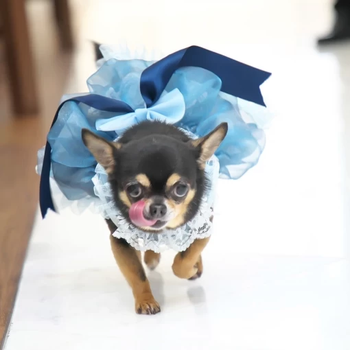 Casa Noble OSEIRYU（カーザノーブレオセイリュウ）