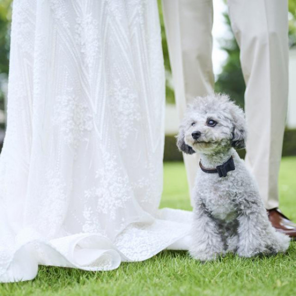 僕も家族♪大切な愛犬と一緒に過ごす特別な1日