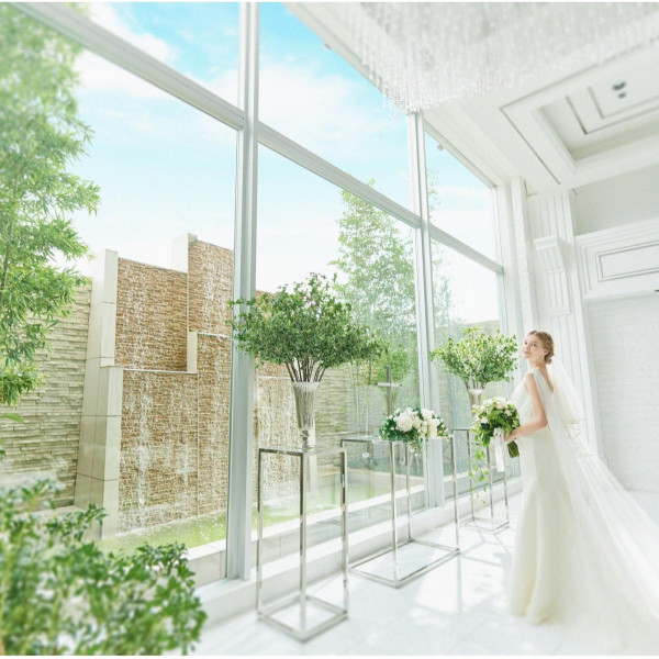 ウエディングドレス&タキシード286,000円OFF