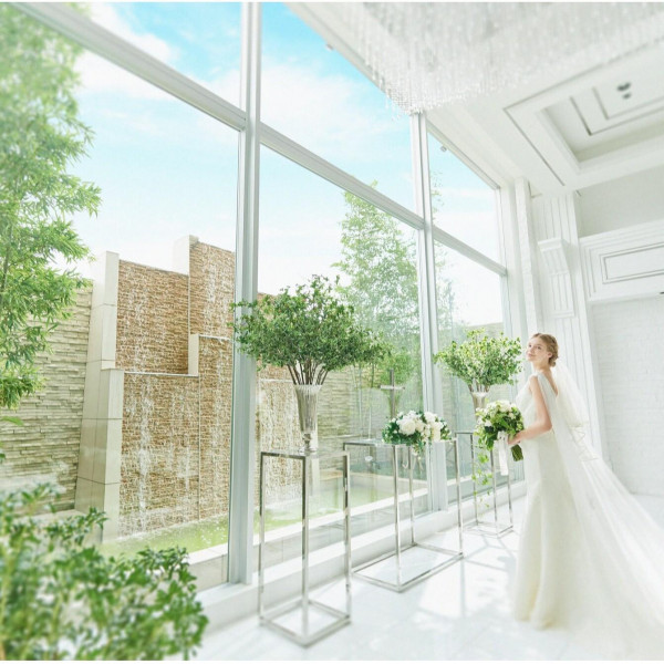 ウエディングドレス＆タキシード286,000円OFF