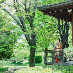 ガーデン・日本庭園|大阪城西の丸庭園 大阪迎賓館の写真(36914001)
