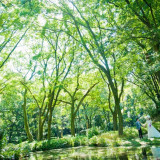 まるで森の中に迷い込んだような、幻想的な1枚…