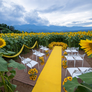 夏の時期はひまわり挙式・キングスウェルPartyも可能です|キングスウェル（オズブライダル）の写真(45087686)