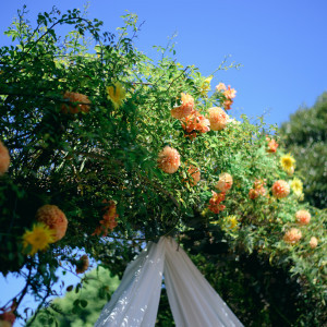 グリーンのアーチに明るい色味のお花をポイントに添えて|山手十番館ウエディング ハウス&ガーデンの写真(43388842)