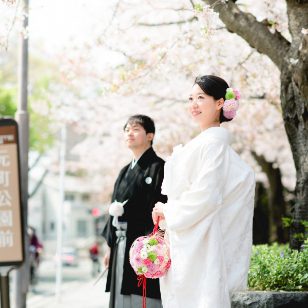 メカニカル 着物 訪問着 華やか 百花 桜 モダン 結婚式 パーティー