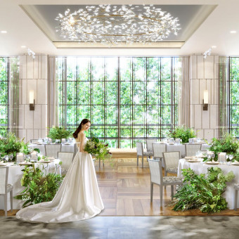 2026年1月ついにグランドオープン！ワンフロア完全貸切×欅並木を一望できる贅沢空間