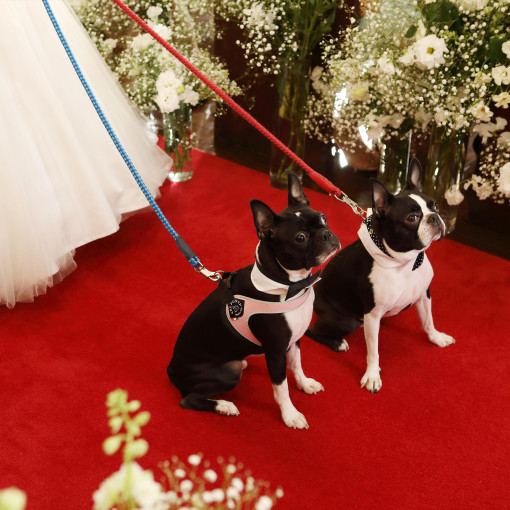 NEST by THE SEA（ネストバイザシー）