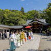 WABI やまどり